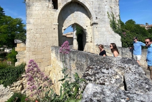 Bordeaux: Private Wine Tour in Saint Emilion