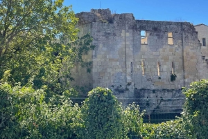 Bordeaux: Private Wine Tour in Saint Emilion