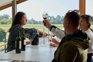 Saint-Emilion and Medoc Full-Day Wine Experience