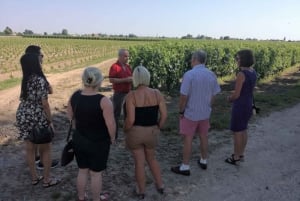 Saint-Emilion i Medoc - całodniowe doświadczenie z winem