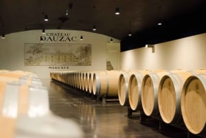 Bordeaux : Saint-Emilion et Médoc - journée complète de dégustation de vin