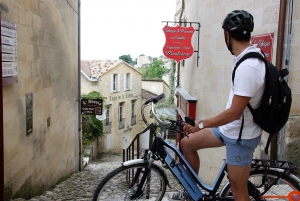 Tour del vino in bicicletta di Saint-Emilion - 2 cantine e pranzo a picnic