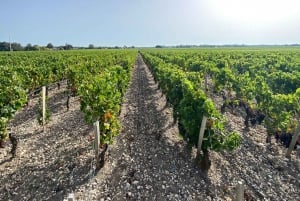 Bordeaux: Saint Emilion Village with Chateaus & Wine Tasting