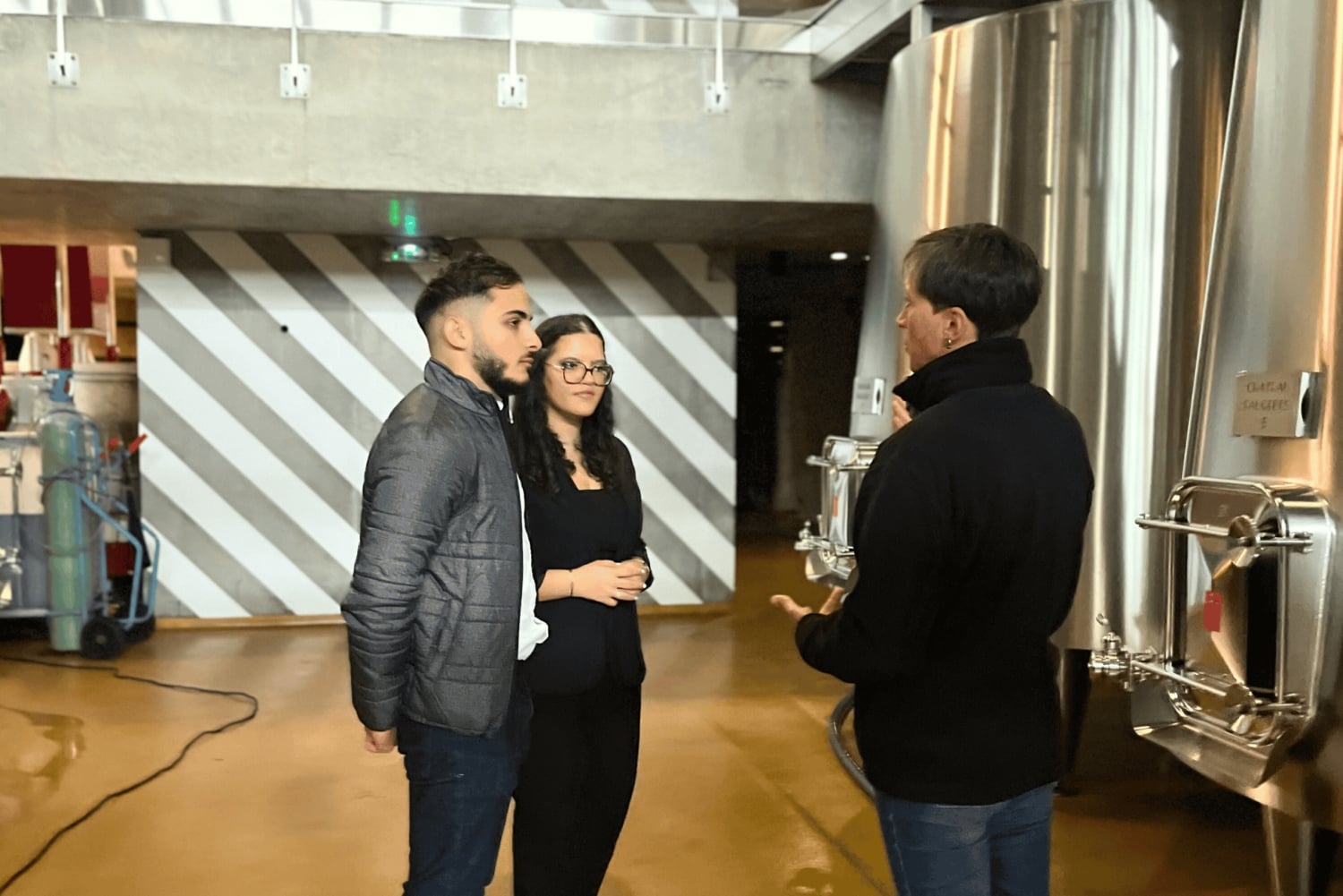 Bordeaux: Wijn- en wijngaardtour door Saint-Émilion