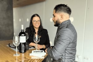 Бордо: Экскурсия по виноградникам и винодельням Сент-Эмильона