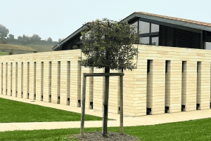 Bordeaux: Wijn- en wijngaardtour door Saint-Émilion