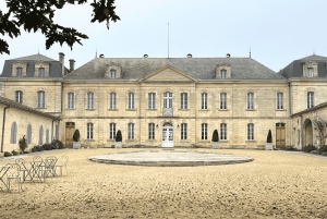 Bordeaux: Wijn- en wijngaardtour door Saint-Émilion