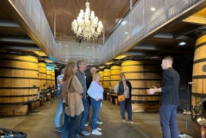 Bordeaux: Saint-Émilion wine tour in a small group