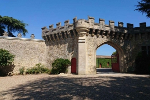 Bordeaux: Saint-Émilion wine tour in a small group