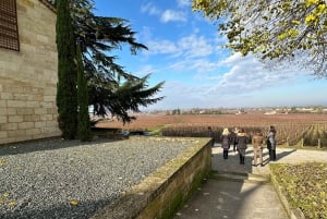 Bordeaux: Saint-Émilion wine tour in a small group