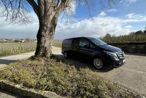 Bordeaux: Saint-Émilion wine tour in a small group