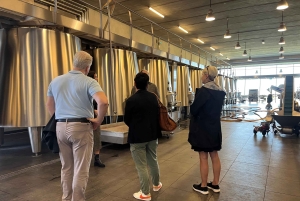 Bordeaux: Saint-Émilion vintur i en lille gruppe