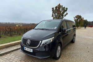 Bordeaux: Saint-Émilion vintur i en lille gruppe