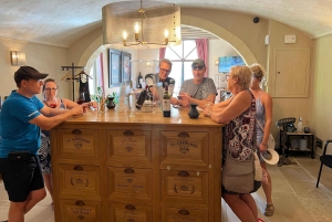 Bordeaux: Saint-Émilion vintur i en lille gruppe