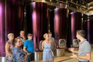 Bordeaux: Saint-Émilion vintur i en lille gruppe