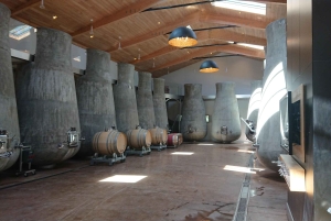 Bordeaux: Saint-Émilion vintur i en lille gruppe