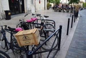 Bordeaux : see the whole city by bike