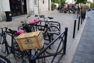 Bordeaux: die ganze Stadt mit dem Fahrrad erkunden