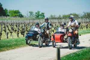 Visit of Bordeaux AND excursion in a vineyard