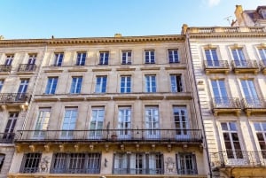 Bordeaux: Omvisning til fots om slavehandelen + utflukt på Garonne