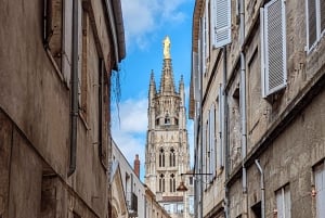 Bordeaux: Omvisning til fots om slavehandelen + utflukt på Garonne