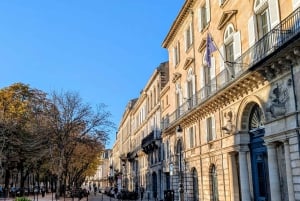 Bordeaux: Omvisning til fots om slavehandelen + utflukt på Garonne