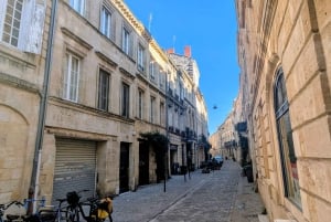 Bordeaux: Omvisning til fots om slavehandelen + utflukt på Garonne