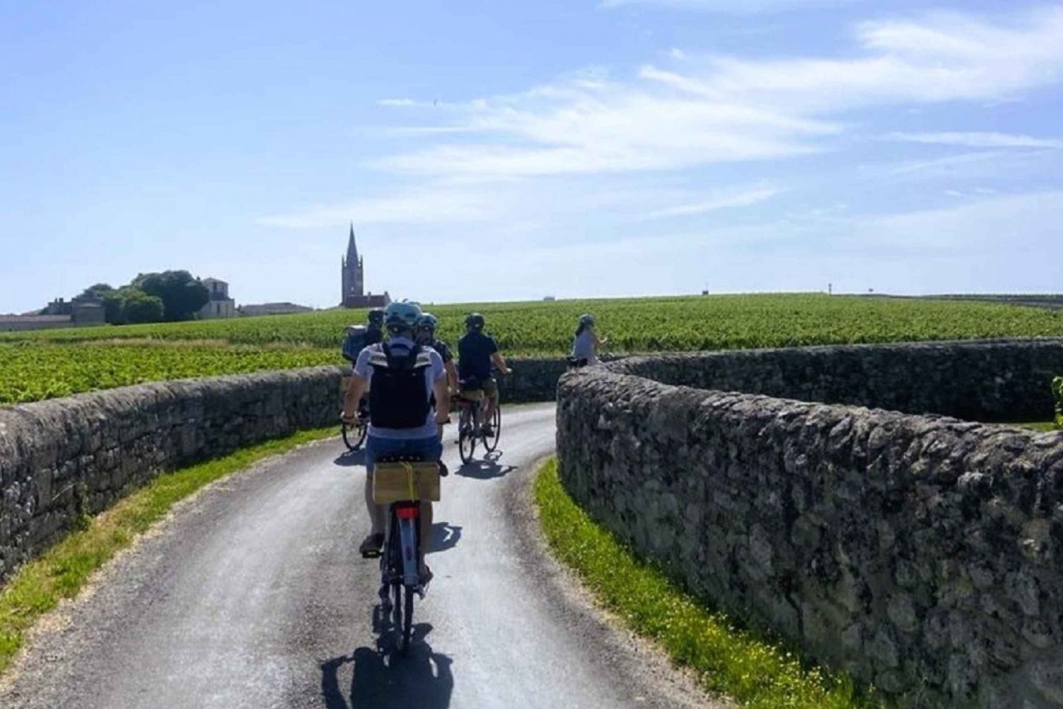 Bordeaux: Passeio de e-Bike pelos vinhedos de St-Emilion com vinho e almoço