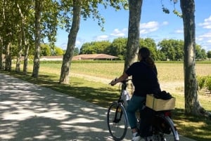 St-Emilion wijngaarden e-fietstour met wijn & lunch