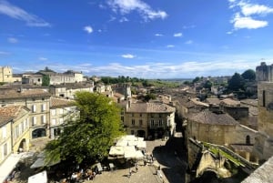 Bordeaux: Tour in bicicletta dei vigneti di St-Emilion con vino e pranzo