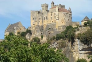 Bordeaux til Dordogne: Privat tur til slott og landsbyer