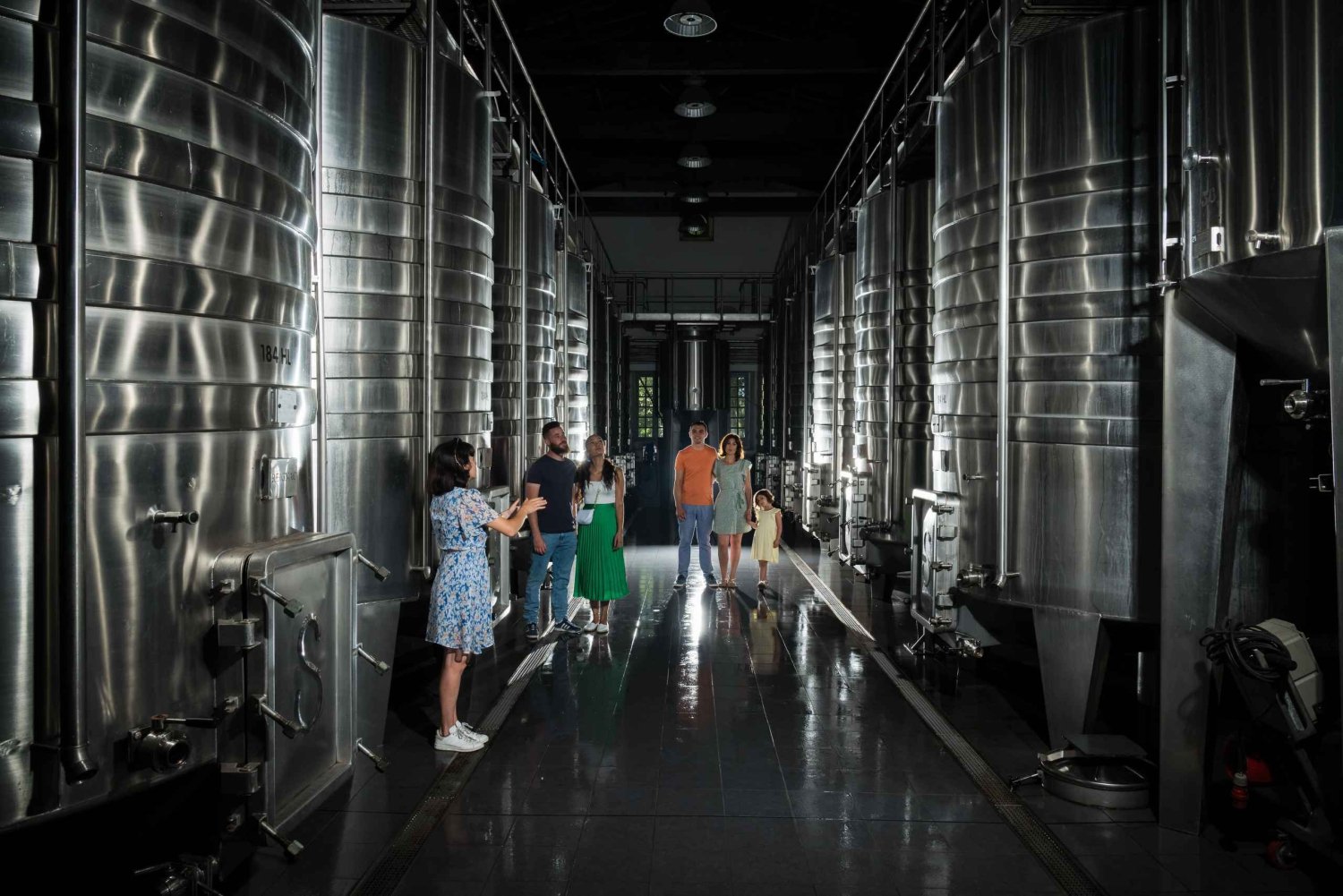 Bordeaux : Visite du Château de Reignac et dégustation prestige