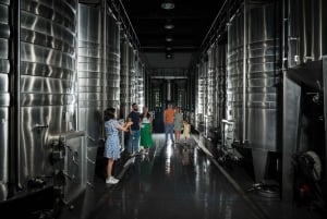 Bordeaux : Visite du Château de Reignac et dégustation prestige