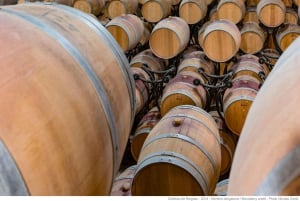 Bordeaux : Visite du Château de Reignac et dégustation prestige