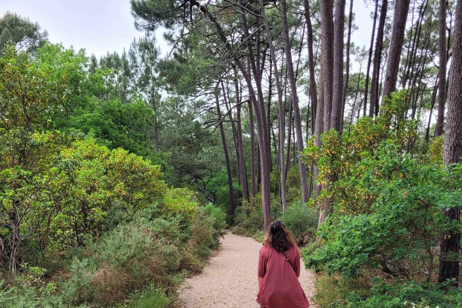 Burdeos: excursión a la Bahía de Arcachon y a la Duna de Pila con chófer-guía