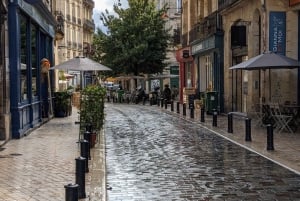 Bordeaux: tour con guida privata