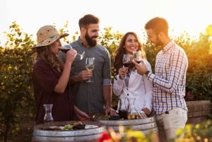 Bordeaux : Unohtumaton Saint Emilionin puolen päivän viinikierros