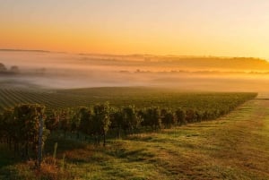 Bordeaux : Unohtumaton Saint Emilionin puolen päivän viinikierros