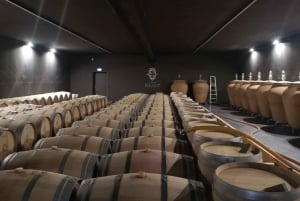 Bordeaux: Viinitarha syrjässä ja viininmaistajaiset.
