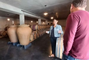 Bordeaux: Vingård med vinsmaking utenfor allfarvei