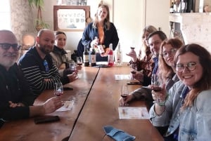 Bordeaux: Wijngaard buiten de gebaande paden met wijnproeverij