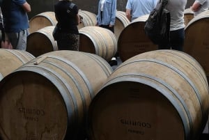 Bordeaux: Vingård med vinsmaking utenfor allfarvei