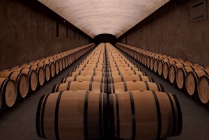 Bordeaux'n viinitarhojen kierrokset