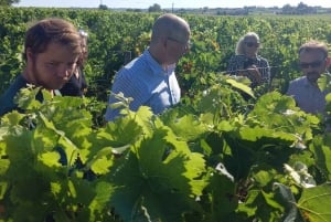 Rundturer på Bordeaux vingårdar