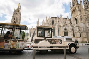 Bordeaux: Besøg med det lille elektriske tog