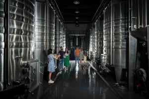 Bordeaux : Visite du Château de Reignac et dégustation prestige