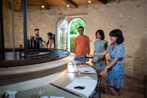 Bordeaux : Visite du Château de Reignac et dégustation prestige
