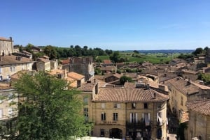 Tour del vino e della bicicletta a Bordeaux