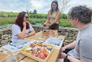Tour del vino e della bicicletta a Bordeaux
