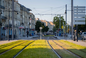 Bordeaux: Blind Sensory Wine Tasting Experience